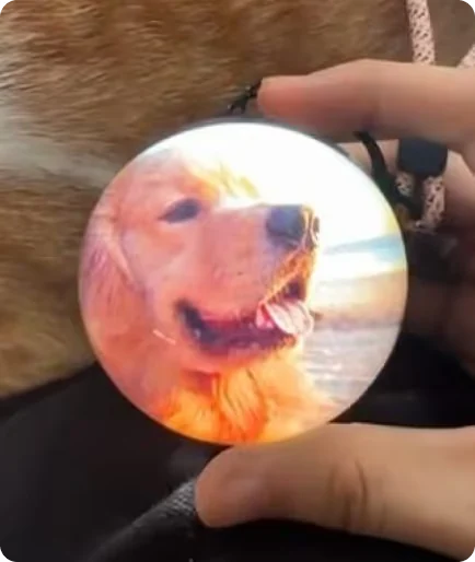 Memory Pearl playing a photo of a golden retriever