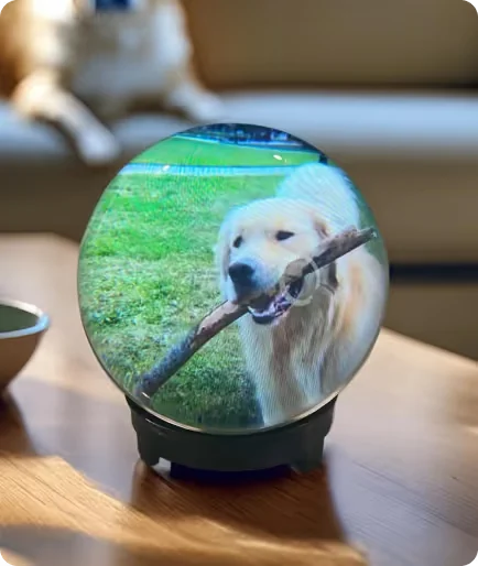 Memory Pearl on its stand, playing a video of a dog